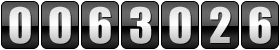 website hit counter