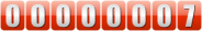 web page visitor counter